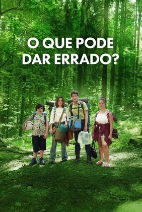 O Que Pode Dar Errado?